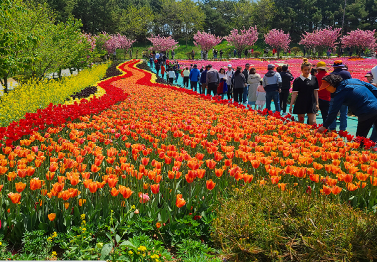 코리아플라워파크