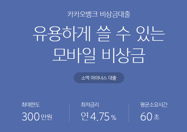 저신용자 대출