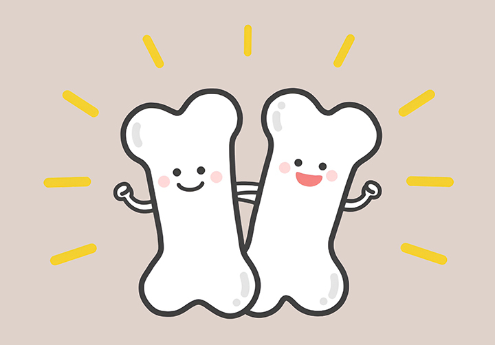 건강한-뼈의-모습