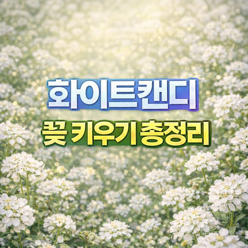 화이트캔디 꽃 키우기, 꽃말·물관리·번식·분갈이·가지치기·월동 썸네일