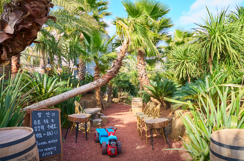 오늘n 동물카페 제주 어린왕자감귤밭