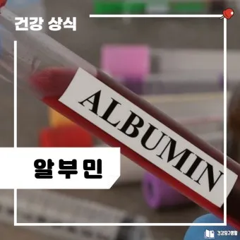 알부민의 효능_13