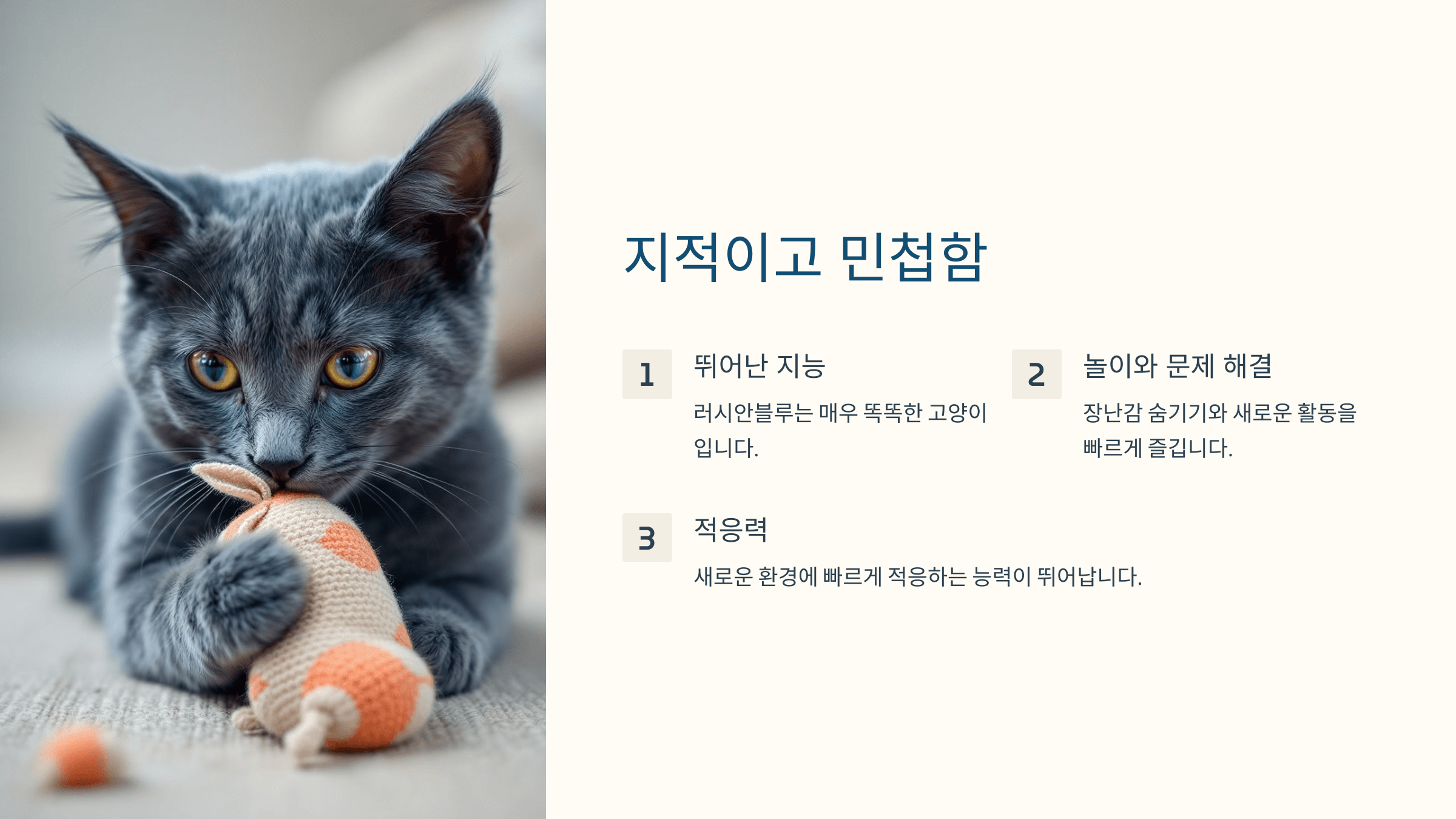 러시안블루 고양이 사진입니다.