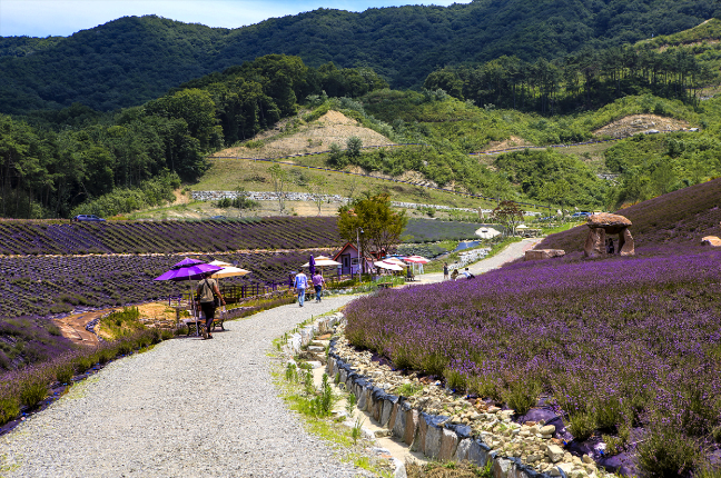 정읍 아파트 단지별 상세 분석 — 정읍이라는 도시의 공간을 이해하는 감각