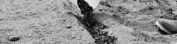 대파 키우기: 밭 만들기