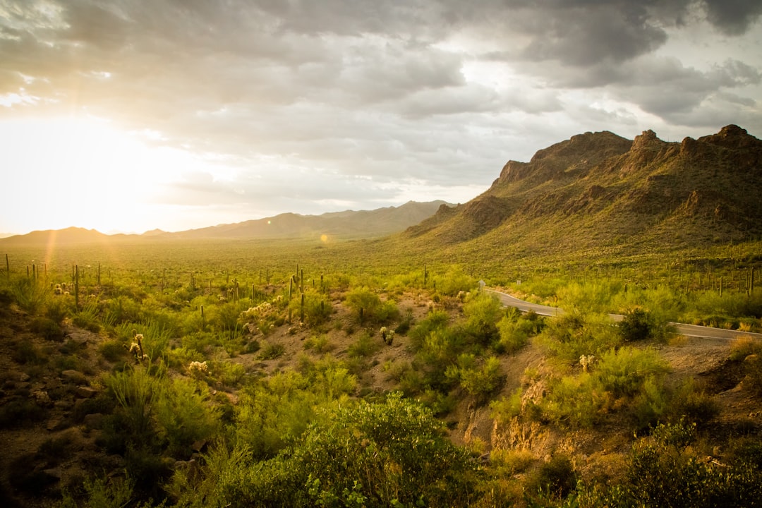 Tucson