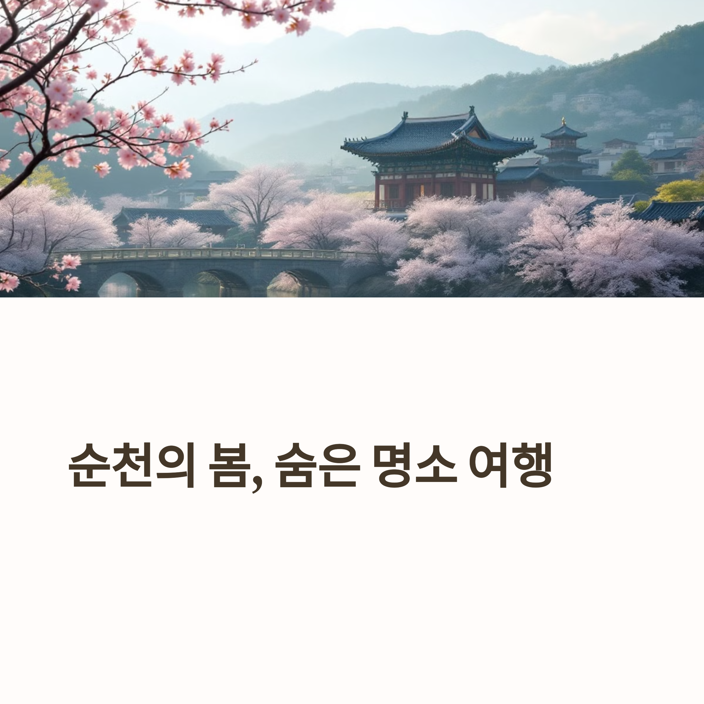 순천만습지 봄 뷰 포인트3곳