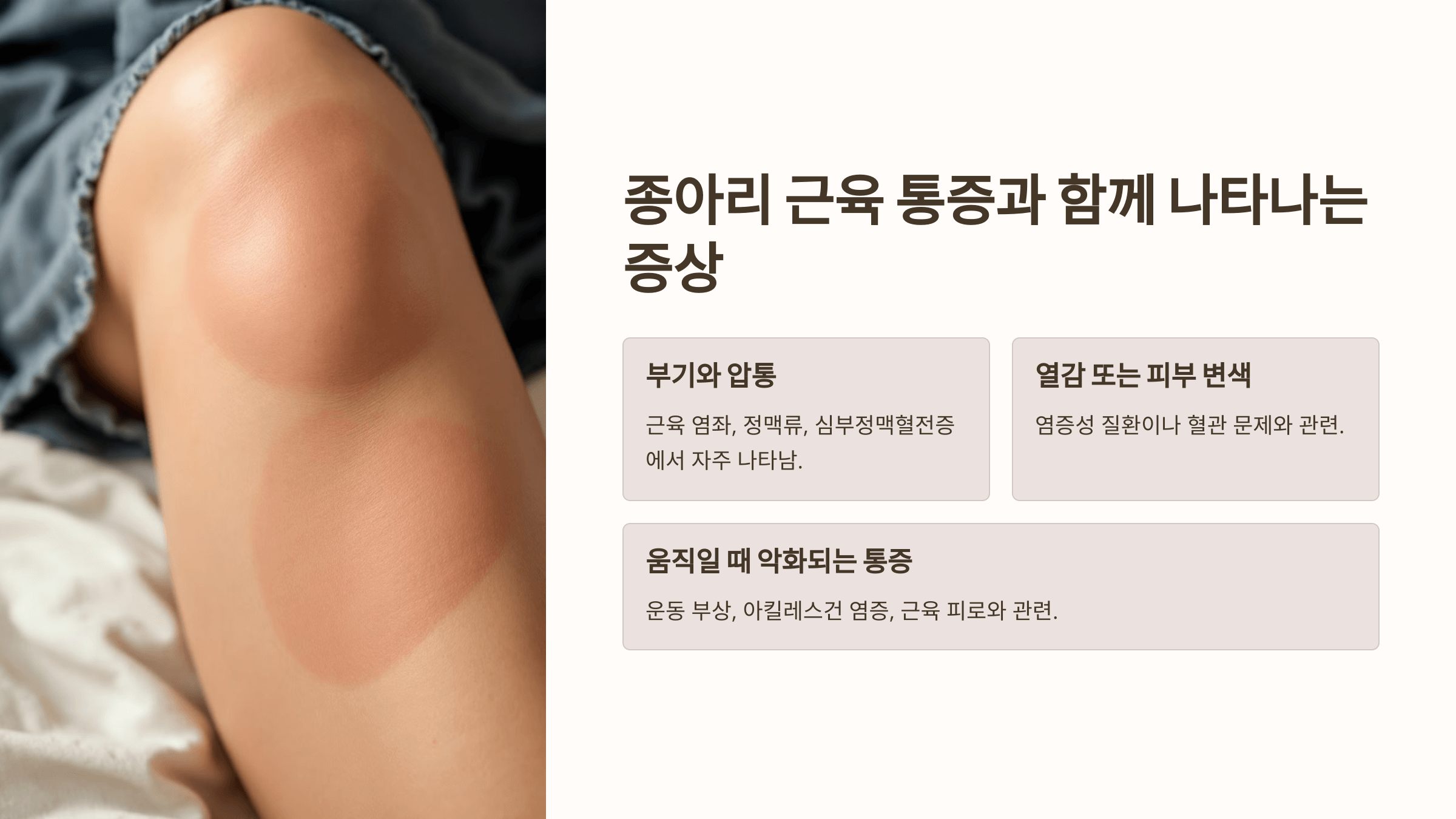 종아리 근육과 관련된 사진입니다.