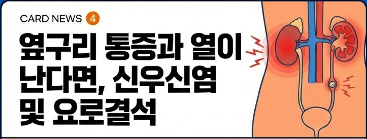 옆구리 통증과 열이 난다면, 신우신염 및 요로결석