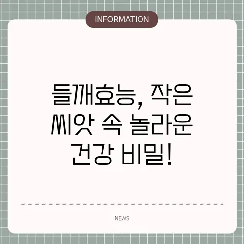 들깨효능, 작은 씨앗 속 놀라운 건강 비밀!
