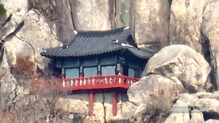 땡기는재미 디카사진