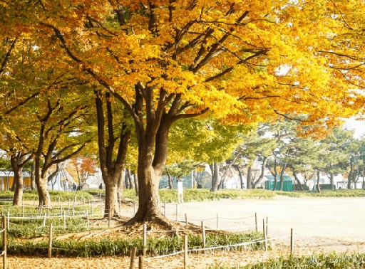 한강공원 드라이브