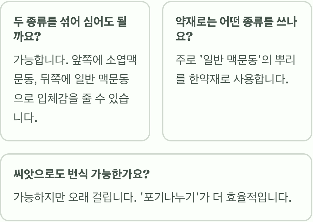 소엽맥문동 vs 일반 맥문동, 심기 전에 꼭 알아야 할 차이점!