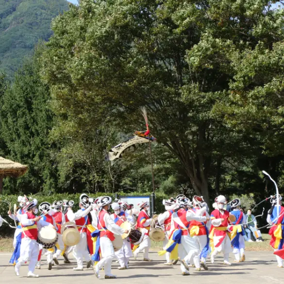 금산세계인삼축제 사진