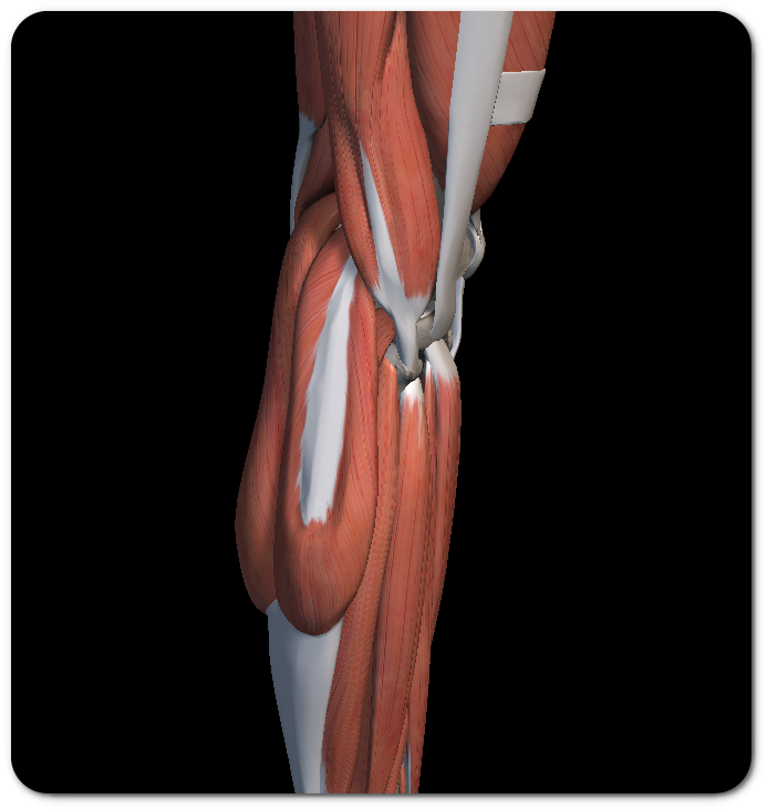 무릎 바깥쪽 통증 원인