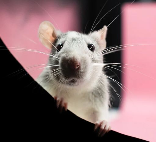 오늘의 운세 2023년 10월 25일