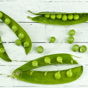 당뇨에 좋은음식 콩