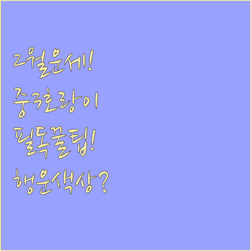 중학교 3학년 호랑이띠 2월 맞춤 운..