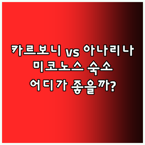 카르보니 호텔 vs 아나리나 빌라? 