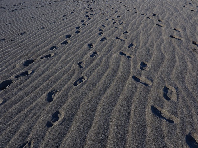 NDE는 기후변화 대응