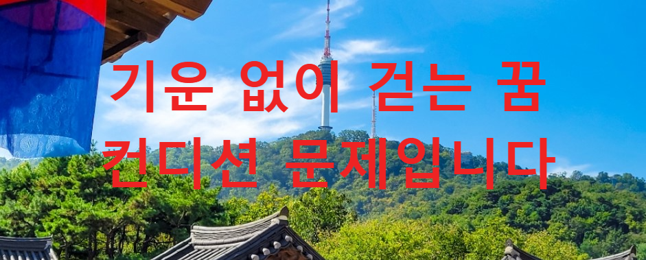 꿈과건강
