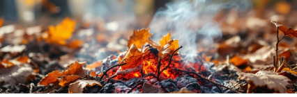 대구 함지산 산불 재발화…국가소방동원령 발령까지, 무엇이 문제였나?