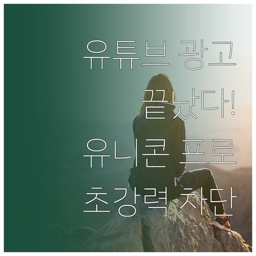 유튜브 프리미엄 없이 광고 차단하는 ..