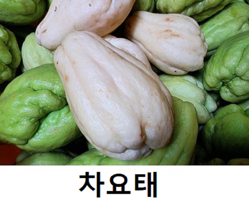한국인의밥상-차요태-담비농장