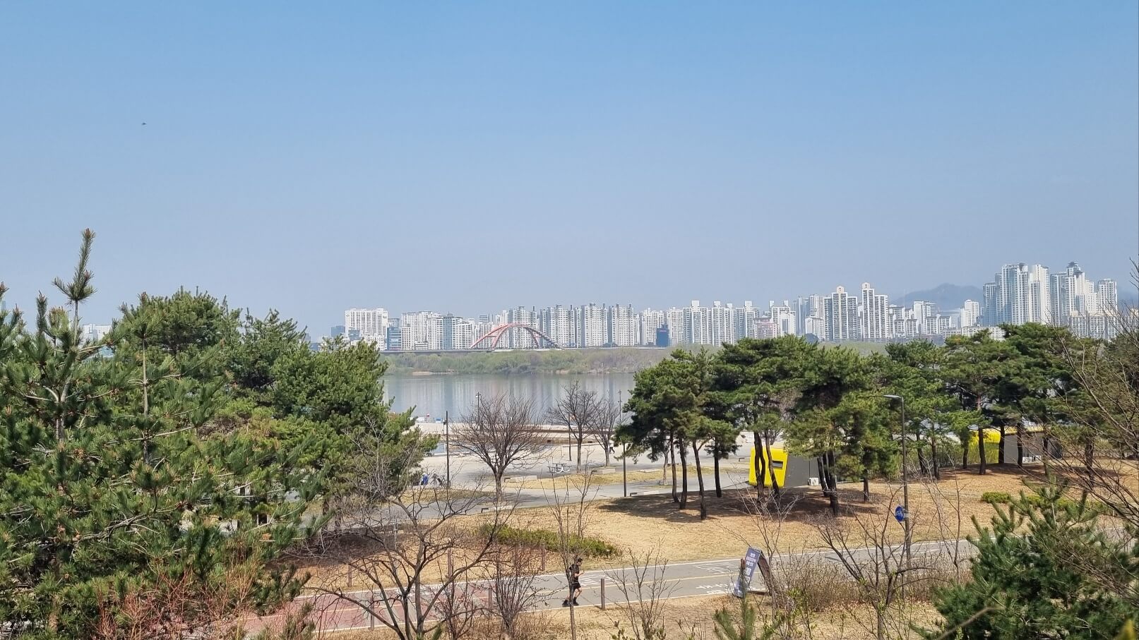 여의도 샛강 생태공원 여의도 벚꽃축제