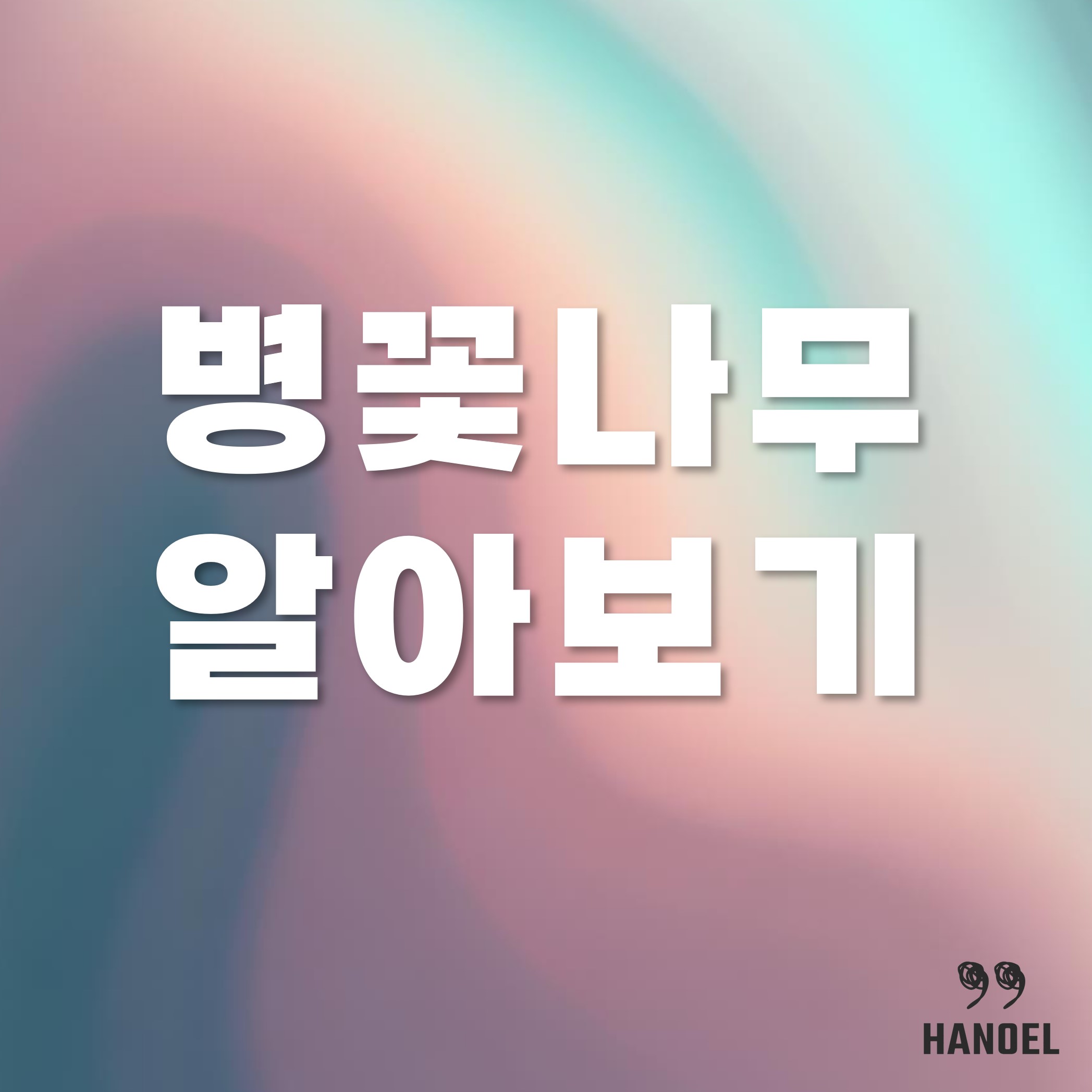 병꽃나무 알아보기