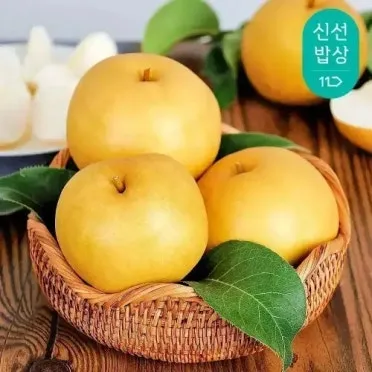 나주배 효능 특징 수확시기제철손질먹는방법나주배 보관 방법 안내_16
