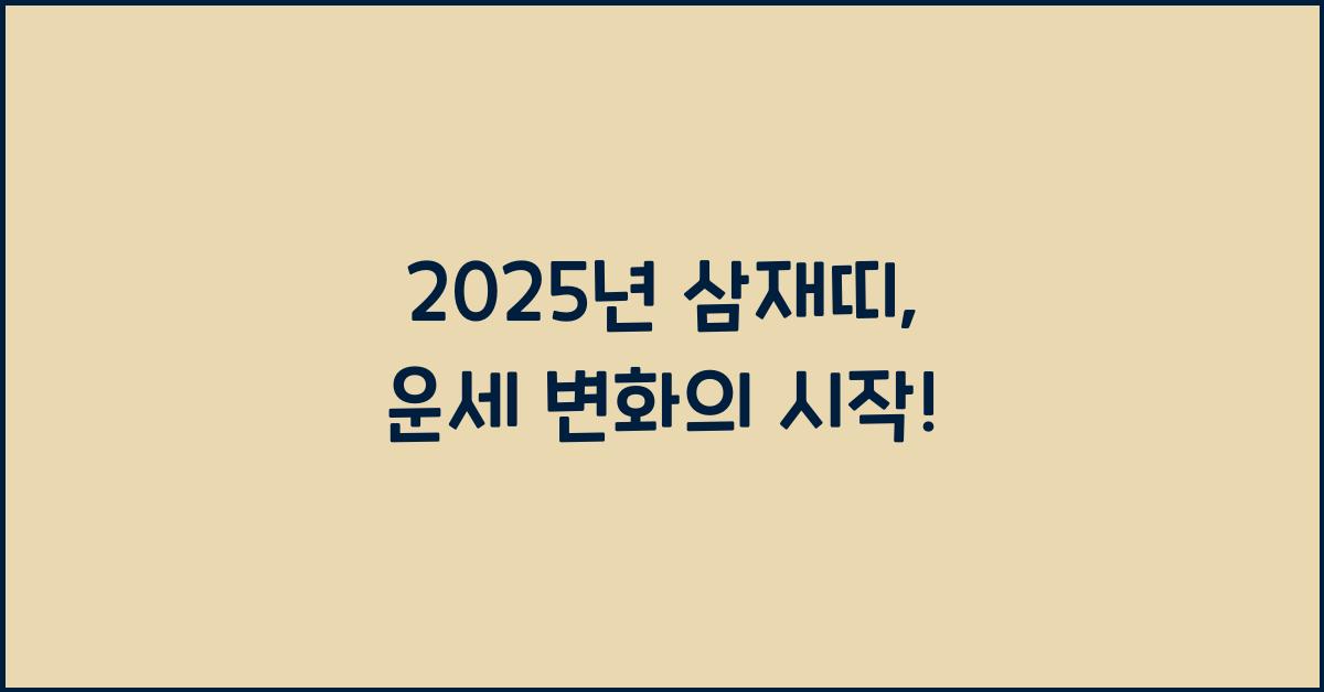 2025년 삼재띠