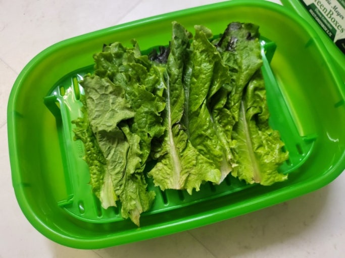 "데비마이어 그린박스" 사용 후 버리는 음식이 없어졌어요! 냉장고 속 혁명템 사용 후기!