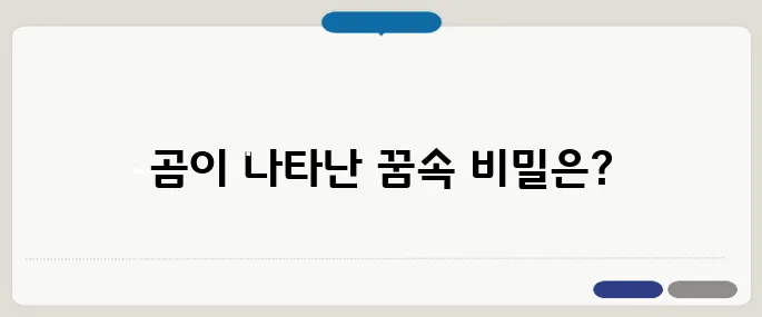 곰 꿈 해몽
