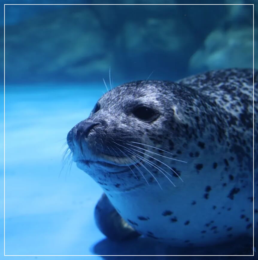 서울 가볼만한곳 베스트10 코엑스 아쿠아리움