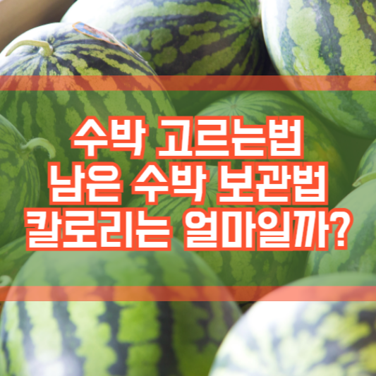 수박 고르는 법, 배꼽!? 칼로리!? 보관은 어떻게!?