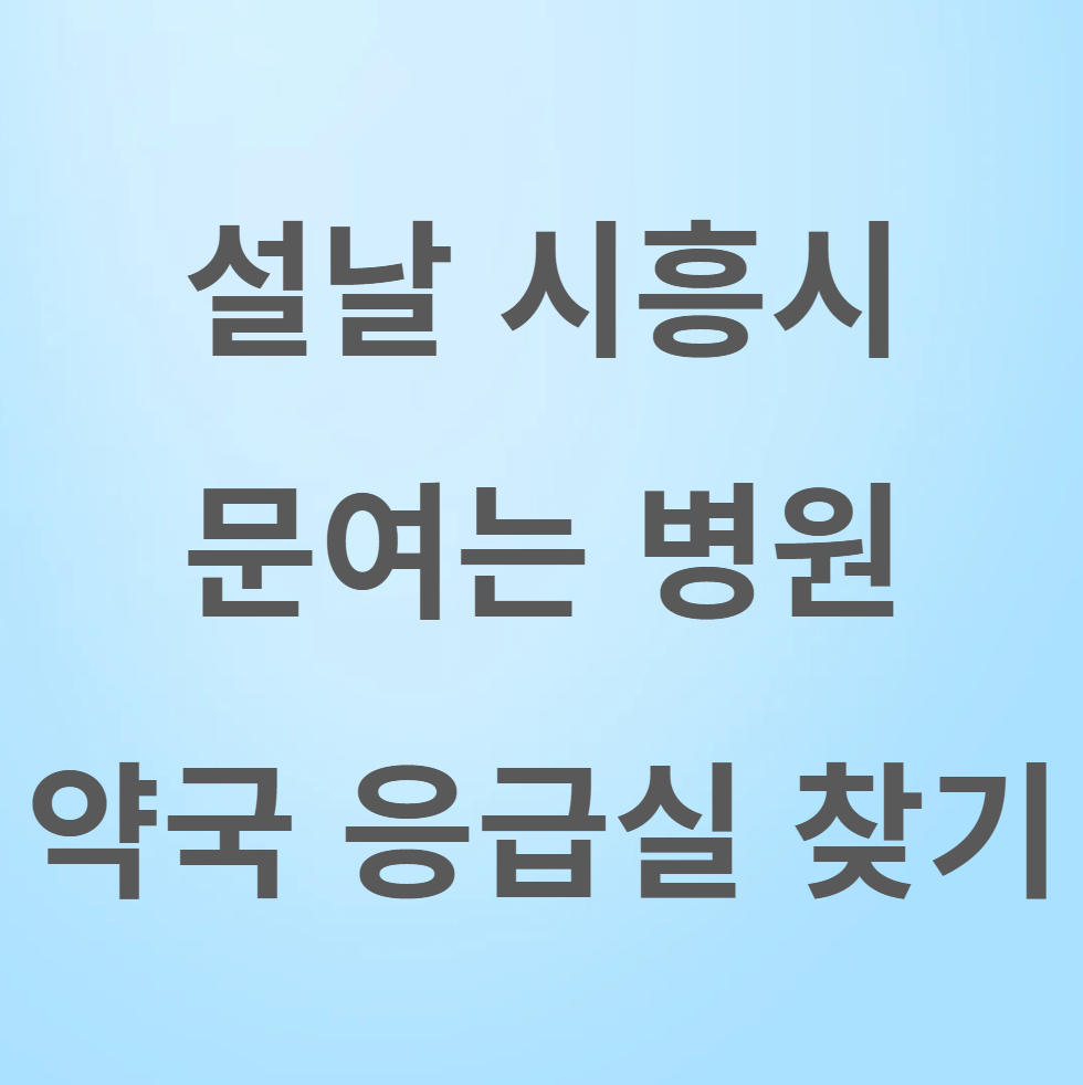설날 시흥시 병원 약국 응급실