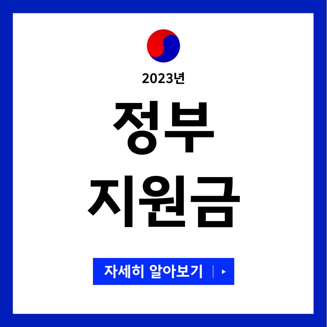 정부지원금