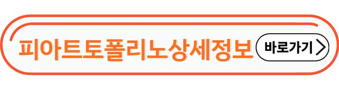 피아트 토폴리노 상세정보