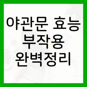 야관문-효능