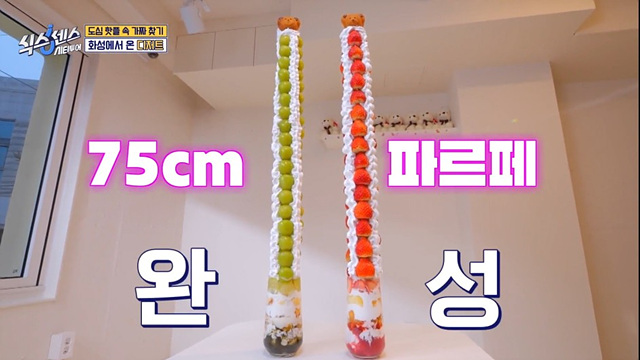 식스센스 수원 2회 맛집 정보 김치폭탄통닭 파르페 냉면꼬치 디믈리에 도토리캐리커쳐 여행