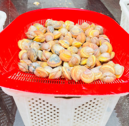 새조개 샤브샤브 만들기 – 겨울철 별미 집에서 간편하게!