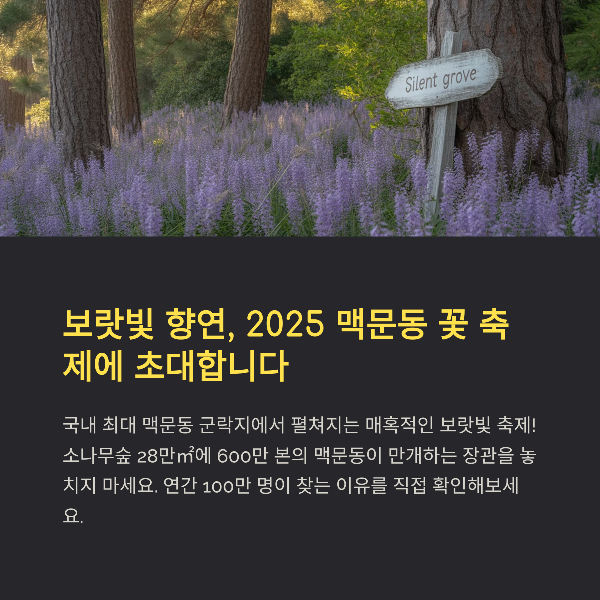 장항 맥문동 꽃 축제, 보랏빛 힐링의 숲으로 초대, 일정, 볼거리, 방문 팁