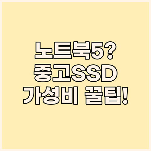 비싼 신형 피했다면 대박일 수 있는 ..
