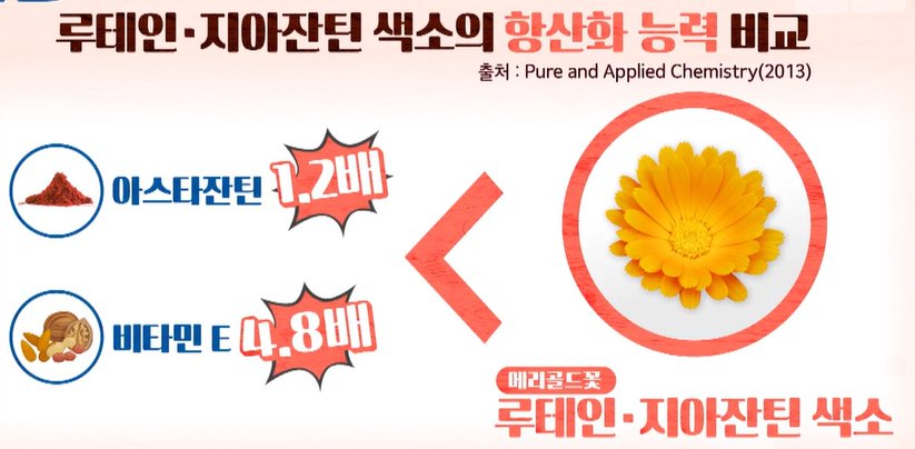 루테인, 지아잔틴 효능