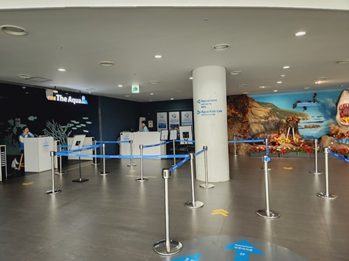 아쿠아플라넷 일산 할인 입장권 저렴한곳 + 다녀온 후기