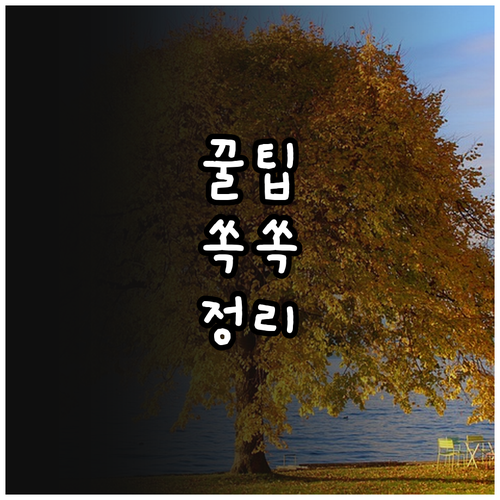 서초구 2025 아이돌보미 손주돌보미..