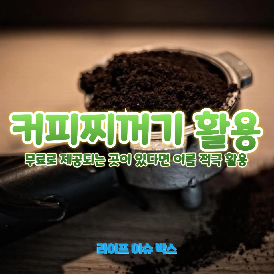 커피찌꺼기의 놀라운 활용법