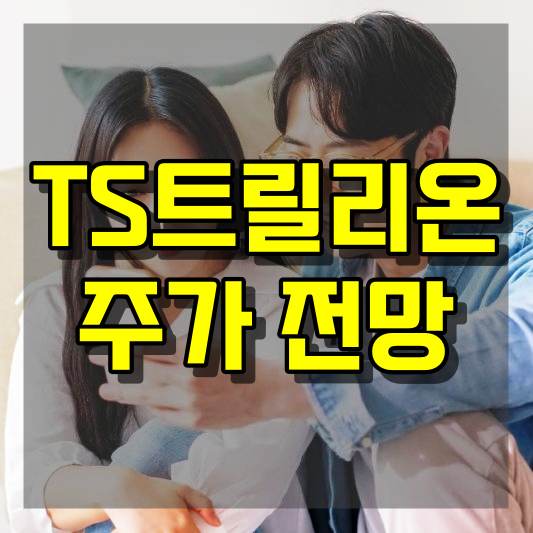 TS트릴리온 주가 전망