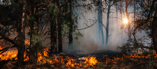 산불 상황별 대피 요령과 지역별 행동 요령 A to Z